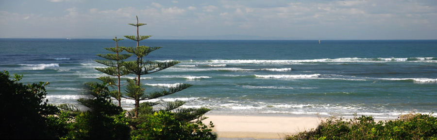 View from Balcony